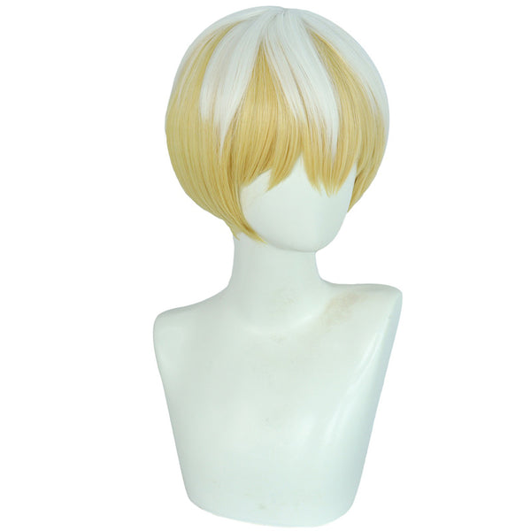 Chained Soldier Tenka Izumo Cosplay Wig Heat Resistant Synthetic Hair ...