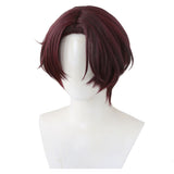 Anime Wind Breaker 2024 Hayato Suou Cosplay Wig Heat Resistant Synthetic Hair Carnival Halloween Party Props