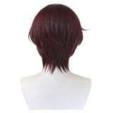 Anime Wind Breaker 2024 Hayato Suou Cosplay Wig Heat Resistant Synthetic Hair Carnival Halloween Party Props