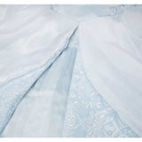 Cinderella Light Blue Dress Cosplay Costume Outfit Halloween Carnival Suit