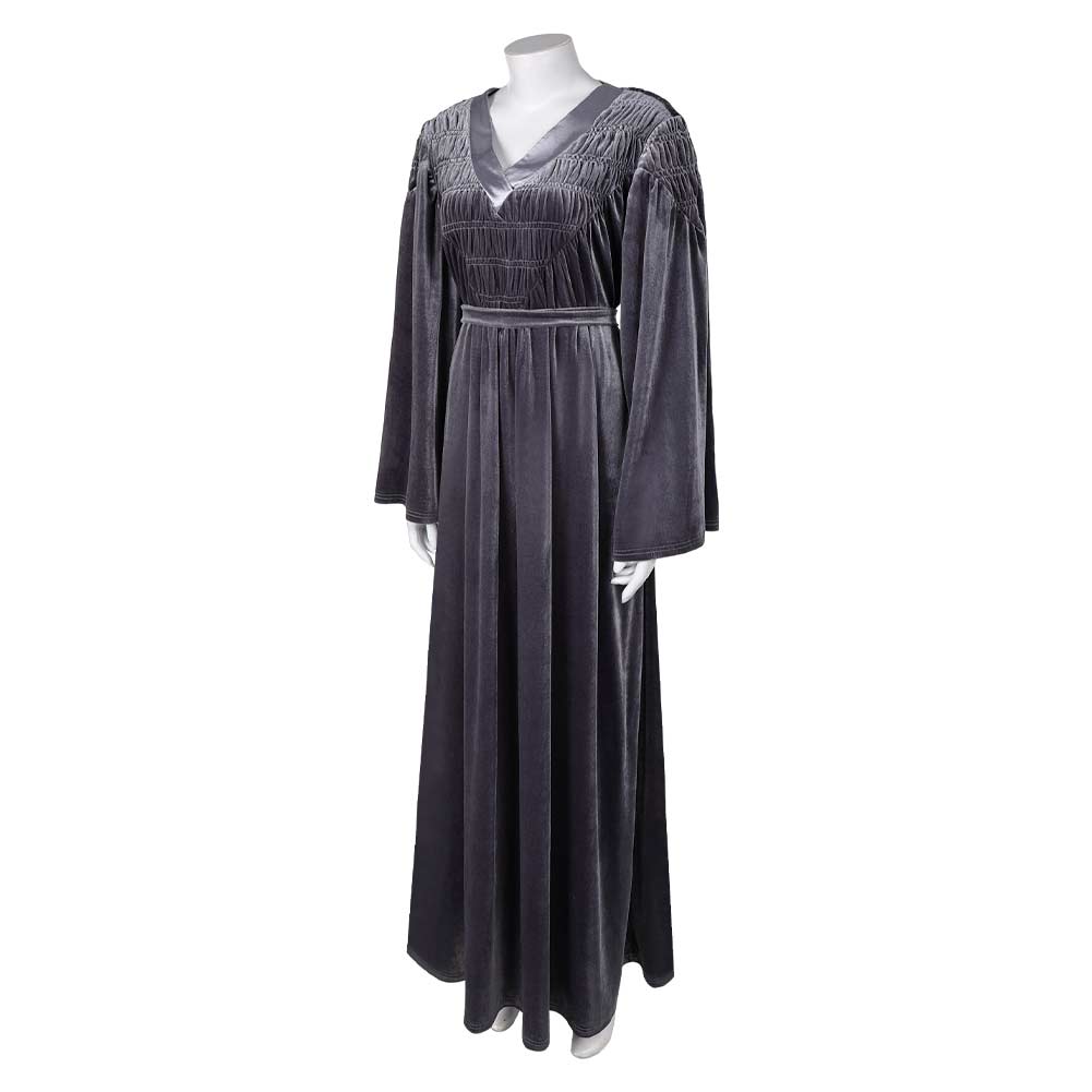 costumes with grey dress Medieval Dress Renaissance Vintage Retro Costume Fairy Elf Velvet Grey Evening Gown