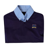 Ted Lasso Ted Blue Top Outfit Cosplay Costume Outfit Halloween Carnival Suit