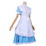 Alicization Sword Art Online SAO Alice·Synthesis·Thirty Cosplay Costume