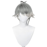 Genshin Impact AlHaitham  Cosplay Wig Heat Resistant Synthetic Hair Carnival Halloween Party Props