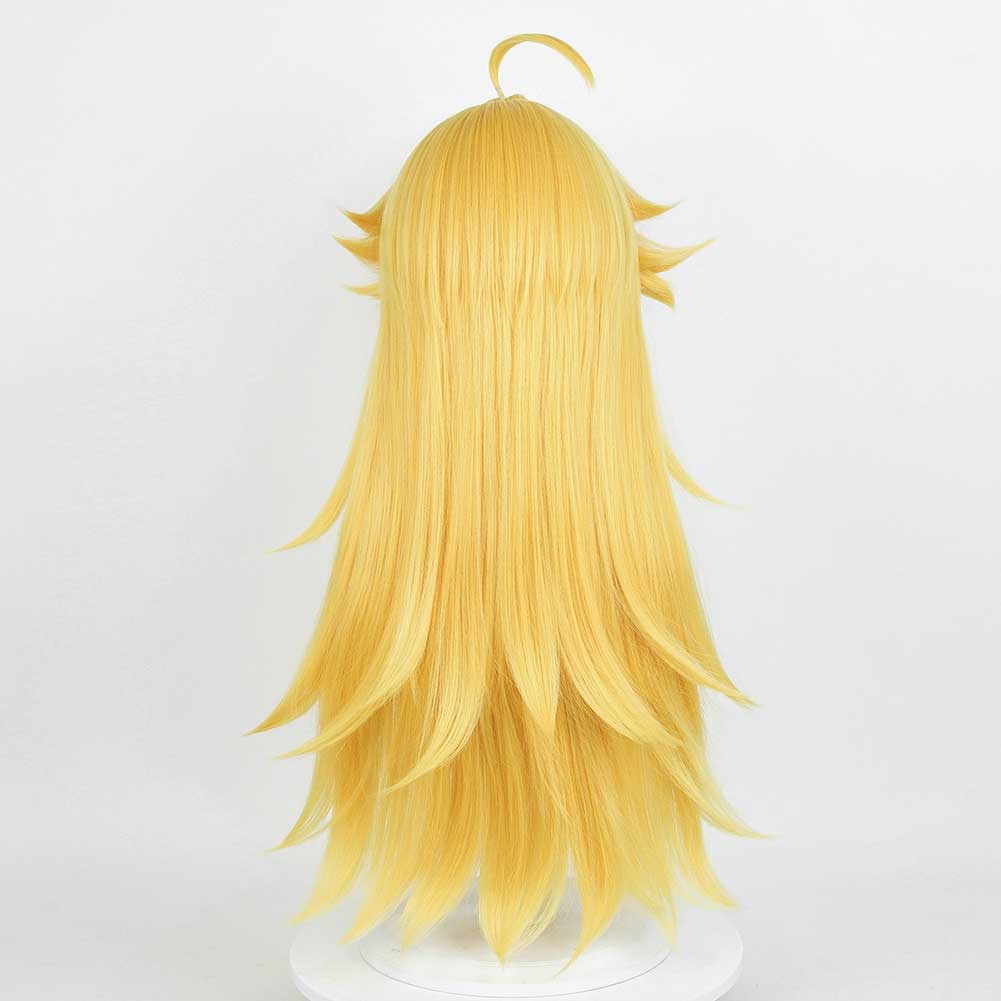 Panty Stocking with Garterbelt Panty Anarchy Cosplay Wig Heat